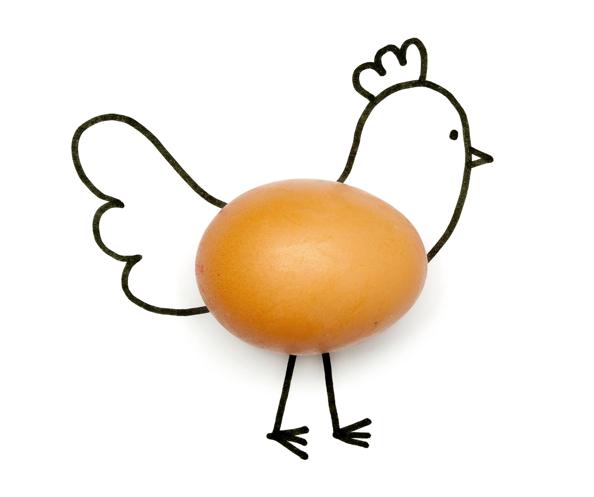 Drawing and Object: Chicken & Egg